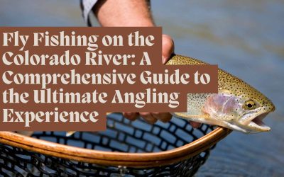Fly Fishing on the Colorado River
