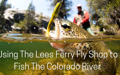Using The Lees Ferry Fly Shop to Fish The Colorado River