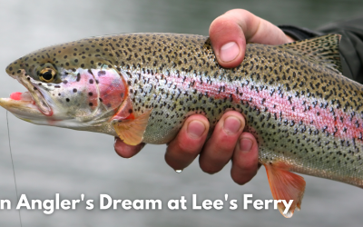 An Angler’s Dream at Lee’s Ferry