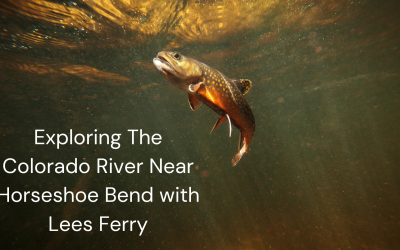 Exploring The Colorado River Near Horseshoe Bend with Lees Ferry